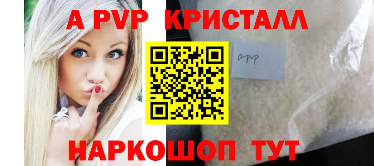 APVP СК Сыктывкар