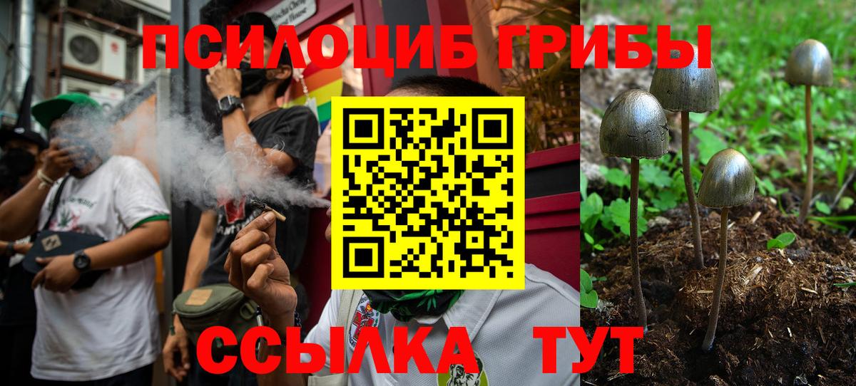 Псилоцибиновые грибы Cubensis  Вход с VPN  Псилоцибиновые грибы MAGIC MUSHROOMS  Сыктывкар 